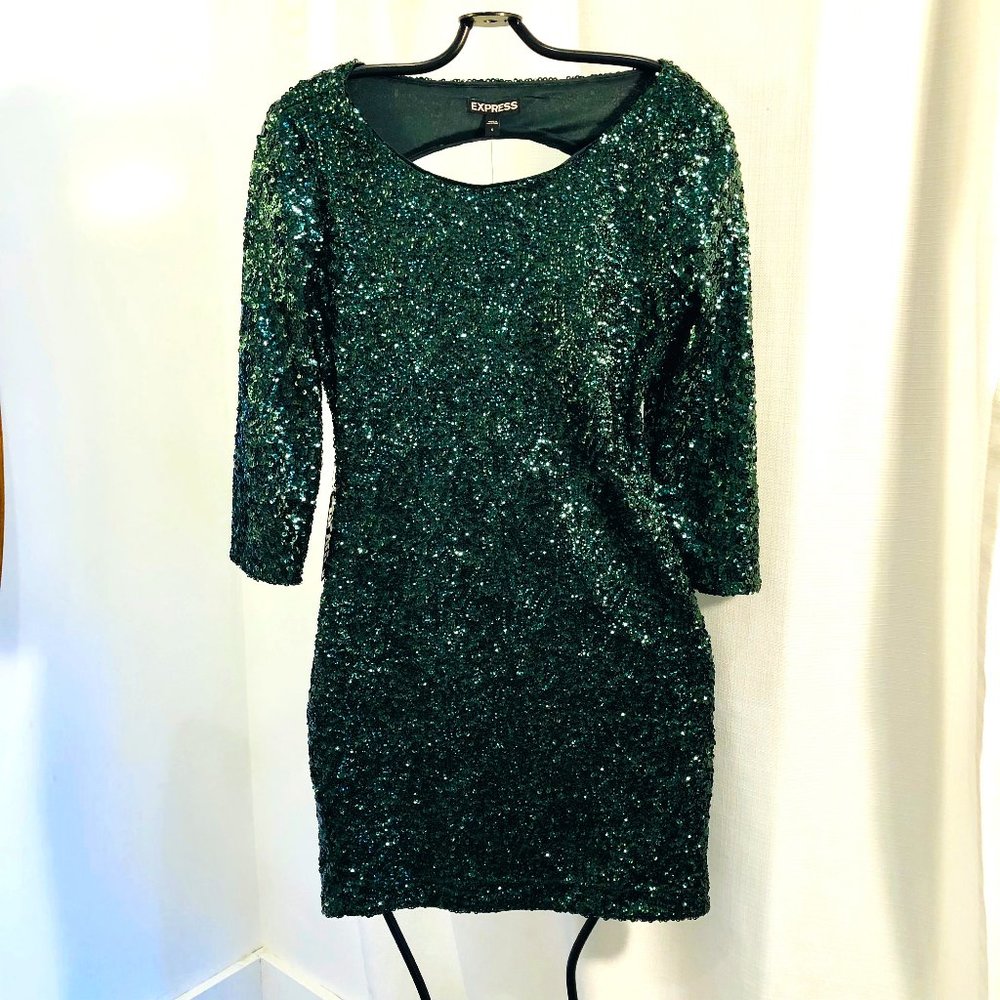 Express Sequin Dress in Forest Green Holiday Party Dress